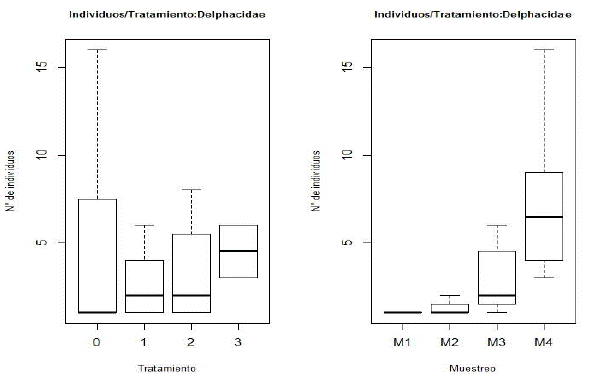 Gráfica de cajas con las medias de los individuos colectados por tratamiento y muestreo.