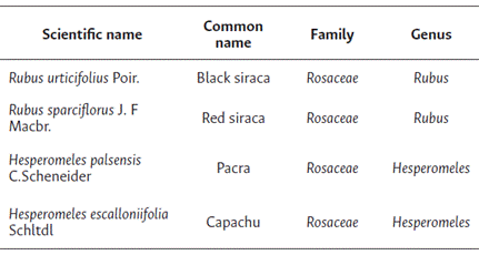 Taxonomic identification of the wild fruits studied