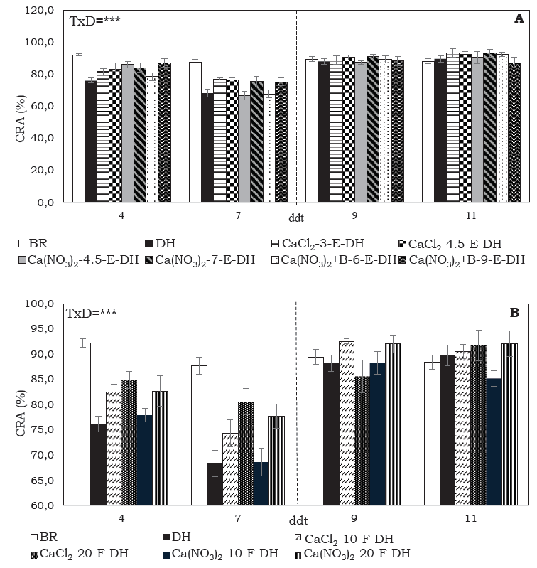 Contenido relativo de agua (CRA) de plantas de S. tuberosum L. grupo Phureja cv. criolla Colombia, bien regadas (BR) o con déficit hídrico (DH), sin y con aplicación de Ca de forma (A) edáfica (E): CaCl2 (3 g planta-1), CaCl2 (4.5 g planta-1), Ca(NO3)2 (4.5 g planta-1), Ca(NO3)2 (7 g planta-1), Ca(NO3)2 + B (6 g planta-1) y Ca(NO3)2 + B (9 g planta-1), y (B) foliar (F): CaCl2 (10 mM planta-1), CaCl2 (20 mM planta-1), Ca(NO3)2 (10 mM planta-1) y Ca(NO3)2 (20 mM planta-1). n= 4. La línea punteada vertical indica el inicio del riego (7 ddt). Las barras se presentan con la desviación estándar. Los valores de probabilidad obtenidos del modelo lineal mixto generalizado indican significancia a P≤0.001 (***).