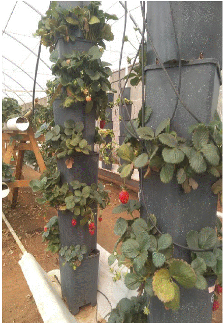 Sistema hidrop&oacute;nico vertical.