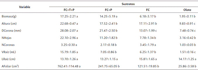 Efecto del factor tipo de sustrato en variables agron&oacute;micas de fresa (Fragaria ananassa Duch.) variedad Albi&oacute;n