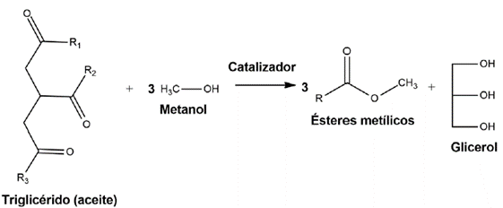 Reaccin de transesterificacin de triglicridos.