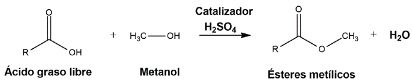 Reaccin de esterificacin de cidos grasos libres.