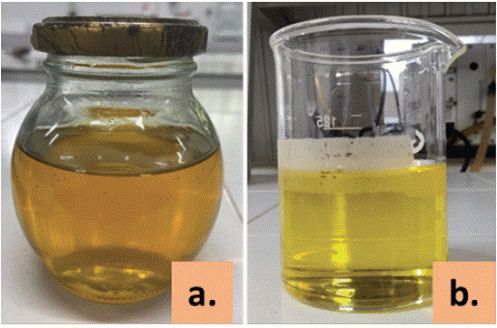 Comparacin entre el aceite crudo (a) y esterificado (b) de Attalea cohune.