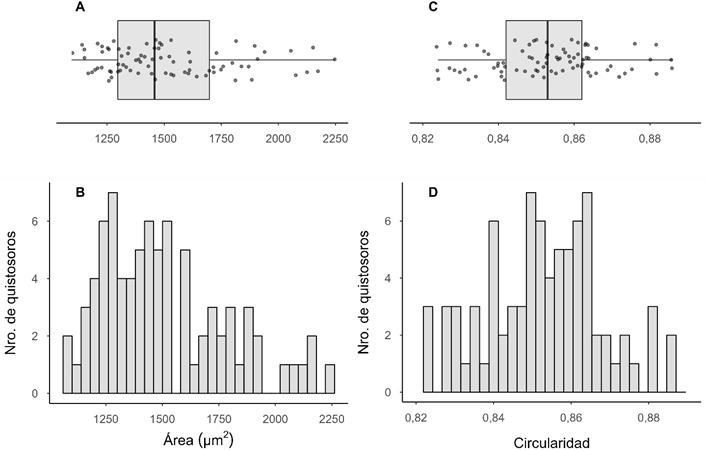 Rangos de rea y circularidad de quistosoros de S. subterranea. Nota. Los diagramas de cajas y bigotes (A y C) y los histogramas (B y D) muestran la distribucin de los valores rea (m2) y circularidad de los 81 quistosoros extrados de diferentes cultivos. Los histogramas muestran el nmero de quistosoros distribuidos en 30 por intervalos de rea y circularidad. En los diagramas de cajas y bigotes, el extremo menor de la caja corresponde al primer cuartil, la lnea en negrita dentro de la caja representa a la mediana y el extremo mayor de la caja representa al tercer cuartil. Los extremos menores y mayores de los bigotes corresponden al menor y al mayor valor, respectivamente.