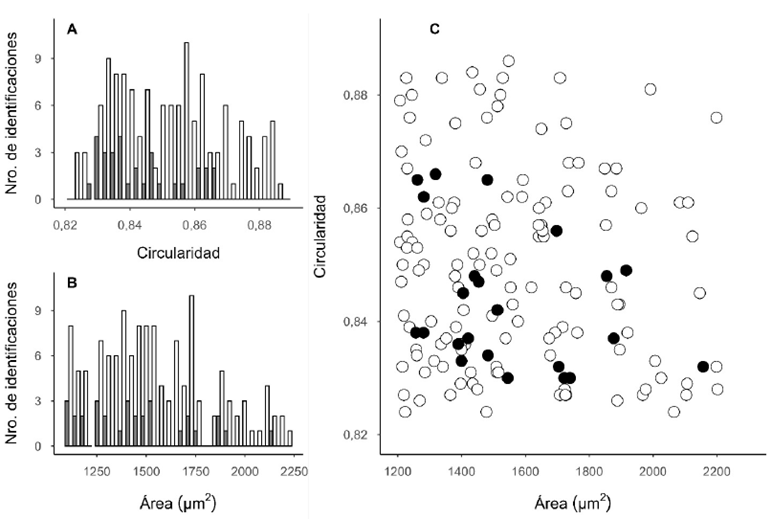 rea y circularidad en las identificaciones realizadas por anlisis de imgenes. Nota. Los histogramas muestran el nmero de identificaciones por rango de circularidad (A) y rea (B) en el suelo infectado (barras claras) y en el suelo control (barras oscuras). El grfico C muestra la dispersin de las identificaciones por sus valores de rea y circularidad en el suelo infectado (crculos claros) y en el suelo control (crculos oscuros).
