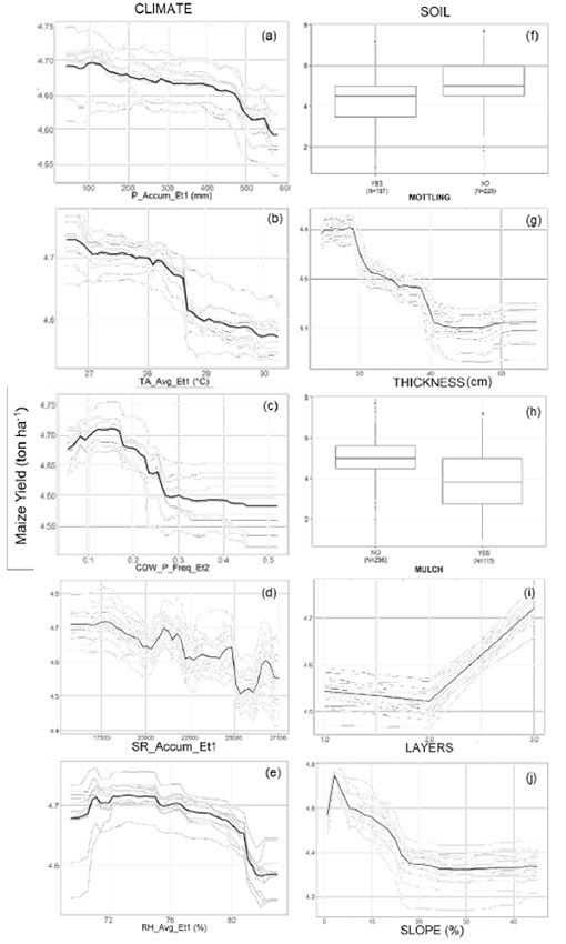 Partial dependence plots and Boxplot of the most relevant climate and soil variables.