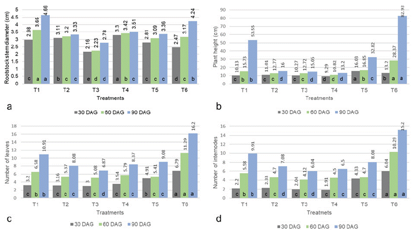 Representation of the variables vs. treatments. a) Scion stem diameter (SSD), b) Plant height (PH), c) Number of leaves (NL), and d) Number of internodes (NI), with measurements every 30 days after grafting for the different scion-rootstock combinations. T1. P. edulis f. flavicarpa/P. alata, T2. P. edulis f. flavicarpa/P. edulis f. edulis, T3. P. edulis f. flavicarpa /P. maliformis, T4. P. edulis f. flavicarpa/P. quadrangularis, T5. P. edulis f. flavicarpa (self-grafted), and T6. P. edulis f. flavicarpa (non-grafted).
