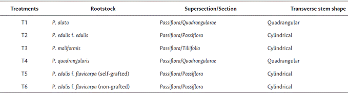 Number of treatments evaluated, taxonomy, and transverse stem shape of the rootstocks.