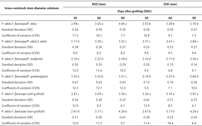 Relations between the stem diameter of the rootstock and the scion estimated at 30, 60, and 90 days after grafting.
