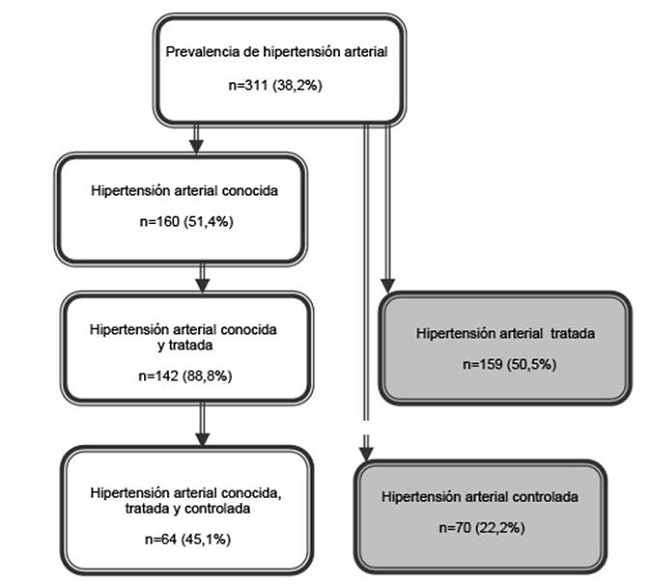 Distribución de la población hipertensa según el conocimiento de su situación, realización de tratamiento y control