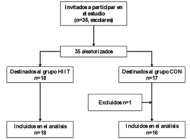 Flujo de participantes en el estudio