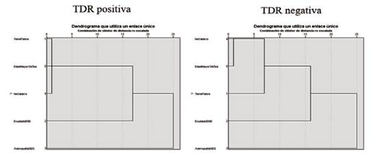 Dendograma (TDR positiva/TDR negativa).