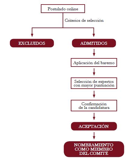 Criterios para la selección de sus miembros.