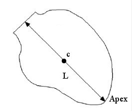 Left ventricle contour representation.