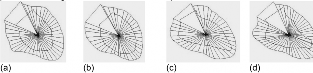 Left ventricles contours for evaluation of synergistic motion.