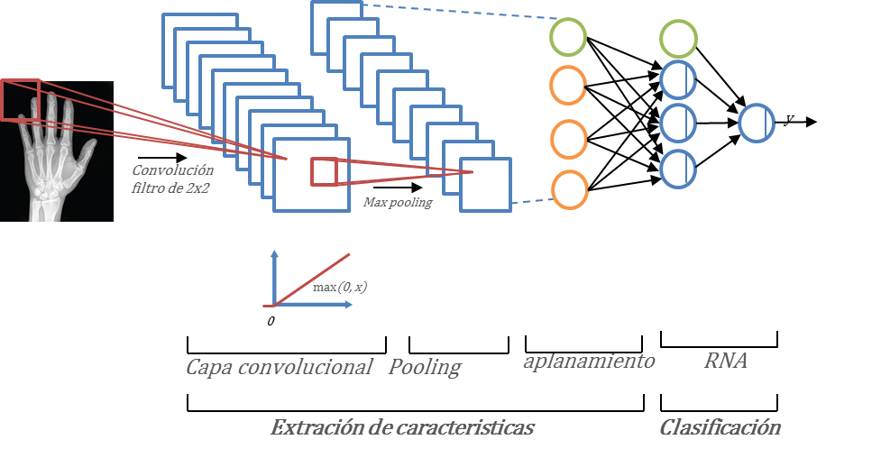 Cada neurona aprende a identificar un número, la medida de la diferencia de las salidas se conoce como error que ajusta los parámetros de forma optima