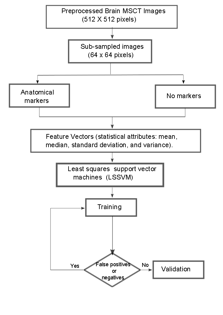Synthetic diagram that illustrates the operability of the LSSVM for the detection of the seed voxel coordinates.