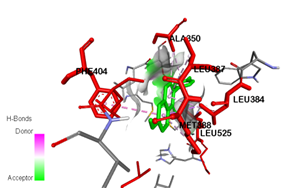 Visualization of formononetin interactions (green) with estrogen receptor alpha (red).