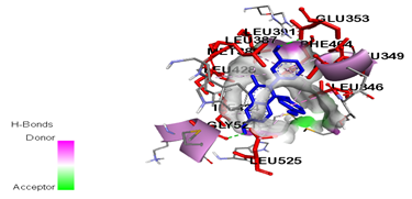 Visualization of 3-alkyl naphthalene  interactions (blue)  with estrogen receptor alpha (red).