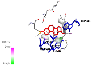 Visualization of 17-β-estradiol interactions (red)  with estrogen receptor alpha (blue).
