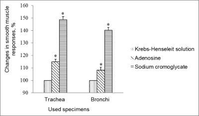 The contractile responses of the smooth muscle of the trachea and bronchi against the background of the action of adenosine and sodium cromoglycate.
