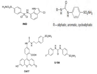 Chemical structures for carbonic anhydrase inhibitors