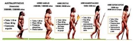 Ilustraci&oacute;n de Hominizaci&oacute;n. Editorial Vicens Vives, 2013: 70-71.