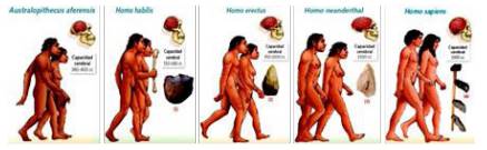 Ilustraci&oacute;n de Hominizaci&oacute;n. Editorial SM Chile, 2016-2018: 22-23.