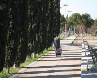 Desigualdad Fuente. Estudiante EG.