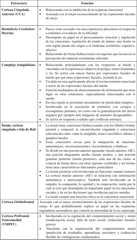 Principales estructuras cerebrales y sus funciones relacionadas con las emociones