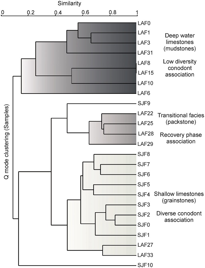 Conodont biostratigraphy and global correlation of the