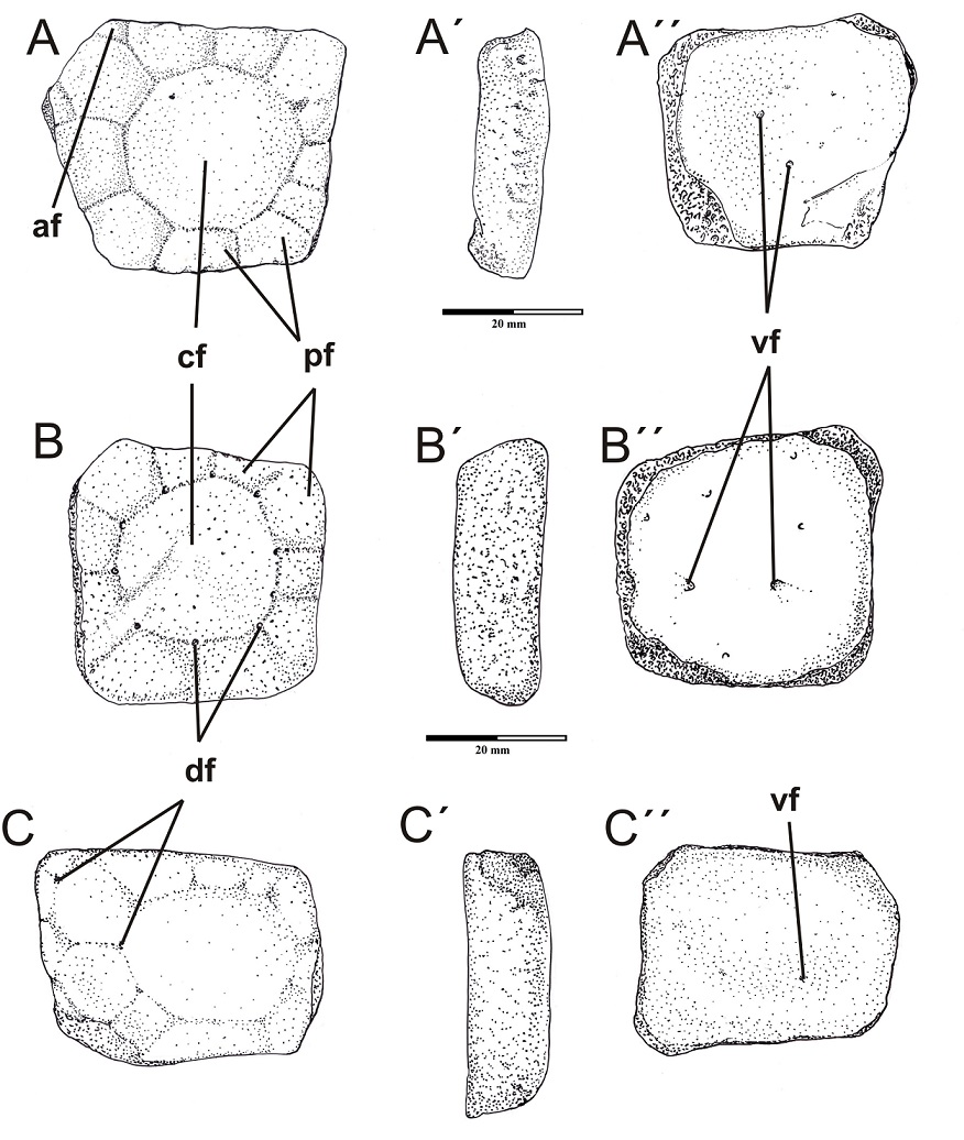 FIG. 4.