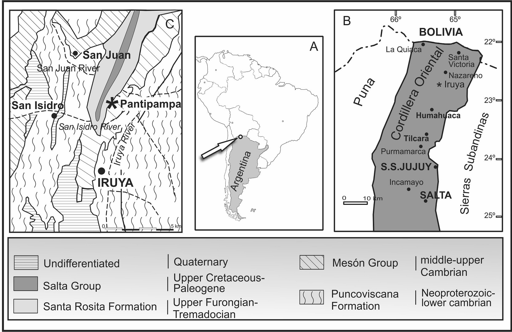 Fig. 1.