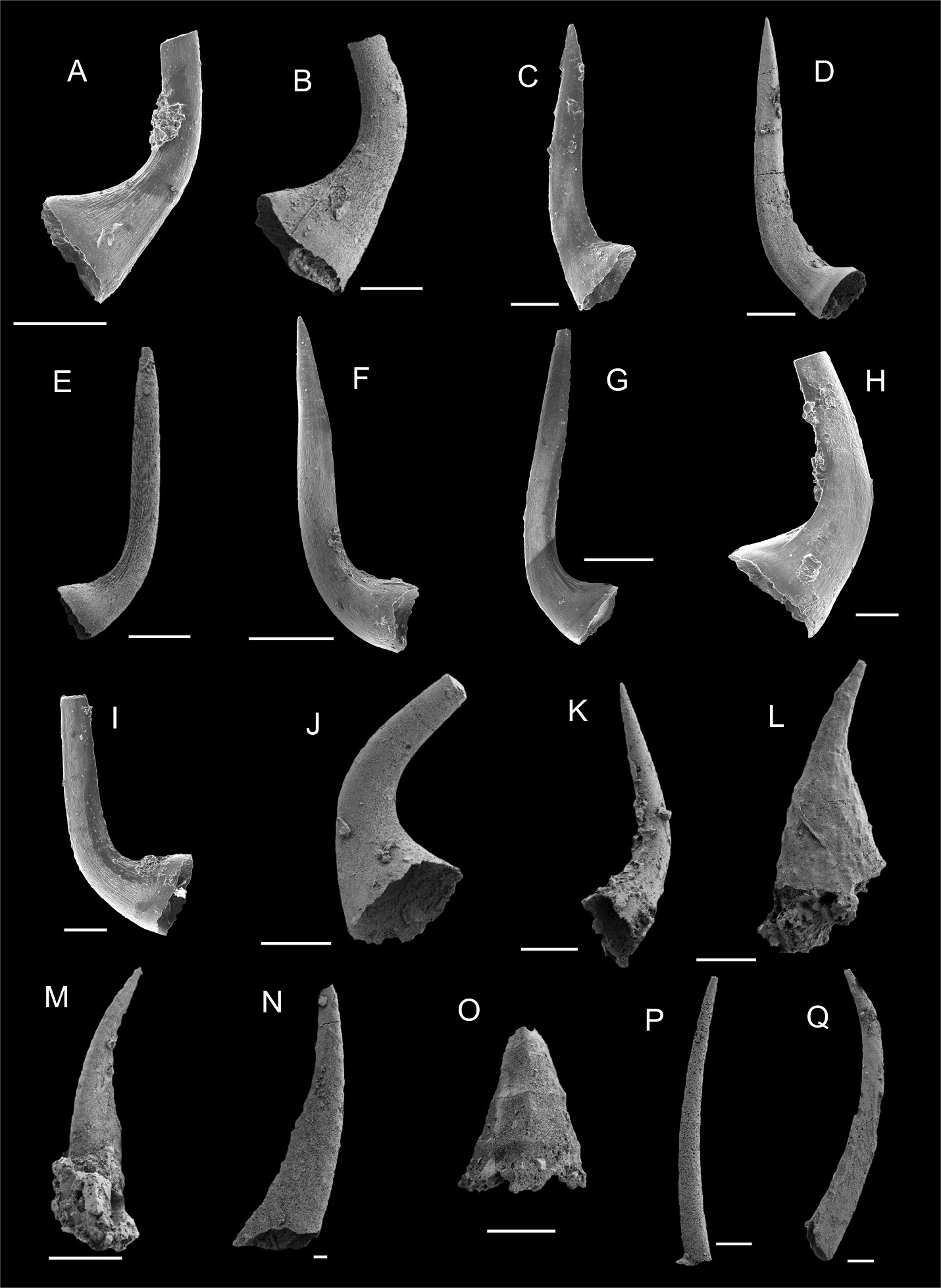 Fig. 5.