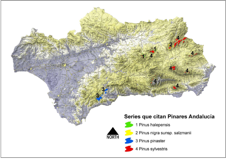 Mapa de localizaci&oacute;n de distintas especies de pinos como vegetaci&oacute;n serial
en Andaluc&iacute;a
