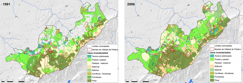 Usos del suelo
inventariados en los municipios del &aacute;rea de estudio