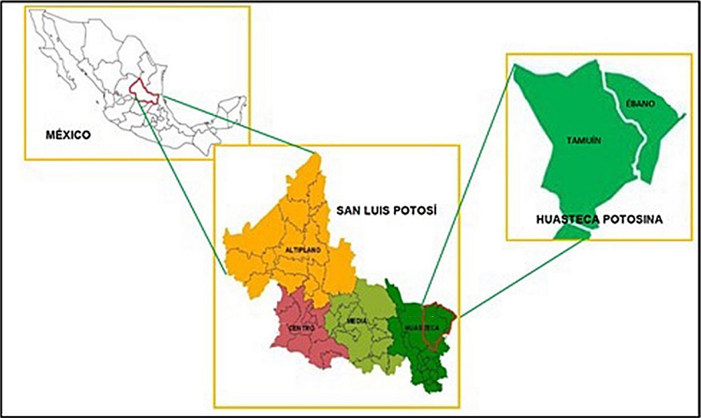 Localización área de estudio