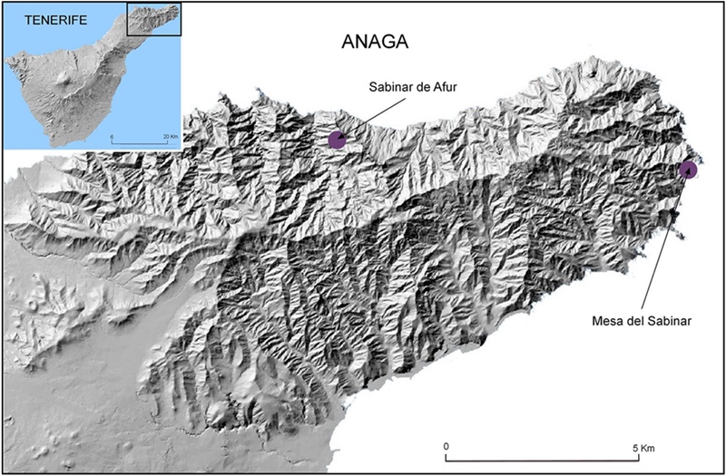 Localización de
los sabinares de Anaga