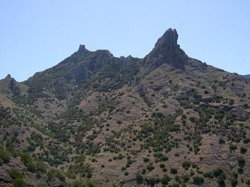 Vista panorámica
del sabinar de Afur