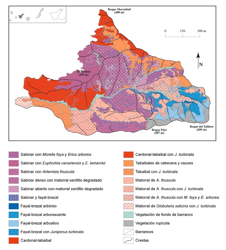 Mapa de vegetación del sabinar de Afur