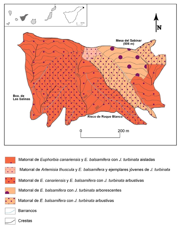 Mapa de vegetación del sabinar de Punta de Anaga