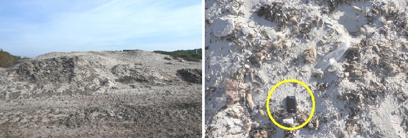 Acopio de Posidonia oceánica depositada en la parte posterior de la
playa y detalle de la cantidad de arena que se retira en su recogida con
maquinaria pesada