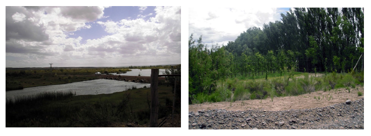 Puente con terraplén alcantarillado (izquierda), parcelarios frutihortícolas con hileras corta vientos y canales
asociados (derecha)
