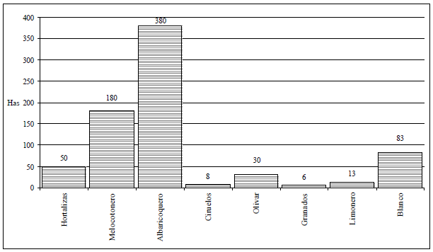  Distribución de la superficie de cultivo en Yéchar (Año 2015.
En ha)