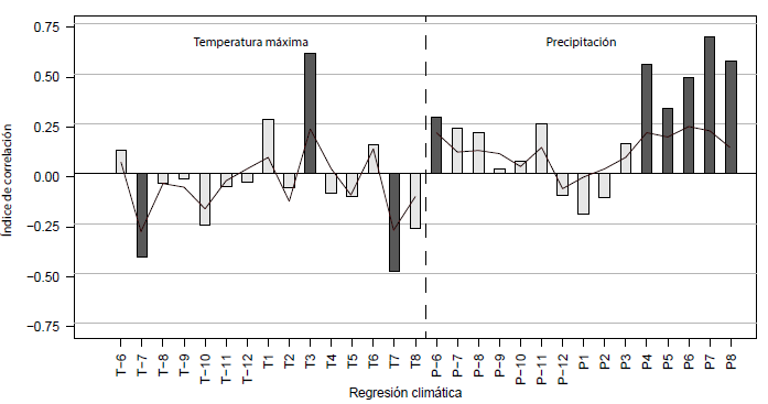  Función de correlación (barras) y función respuesta (líneas)
calculada para la cronología maestra de las 23 localidades consideradas. Las
barras grises oscuro indican correlaciones mayores a +/- 0,24 al nivel de
significación superior al 95% de confianza (p < 0,05)