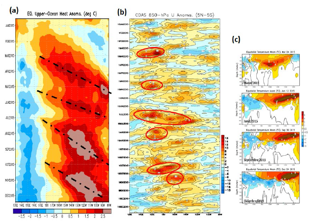 (a) Anomalía del contenido de
calor en la capa superior del océano Pacífico ecuatorial para el año de 2015.
(b) Anomalía de la componente zonal de los vientos (m/s) en la capa de 850 hPa
sobre el Pacífico ecuatorial para el año de 2015. (c) Anomalía de la
temperatura subsuperficial en el Pacífico ecuatorial para los meses de marzo,
junio, septiembre y diciembre de 2015.