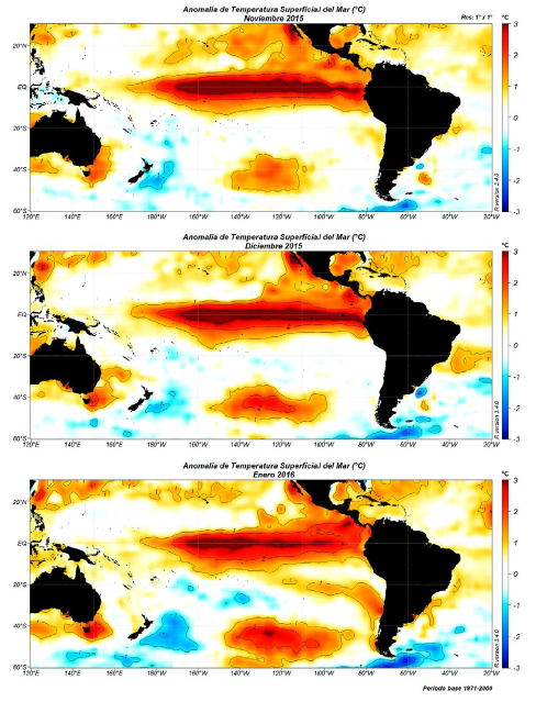 Anomalía de la Temperatura Superficial del Mar (TSM) en grados
Celsius para noviembre y diciembre de 2015 

y de enero 2016.