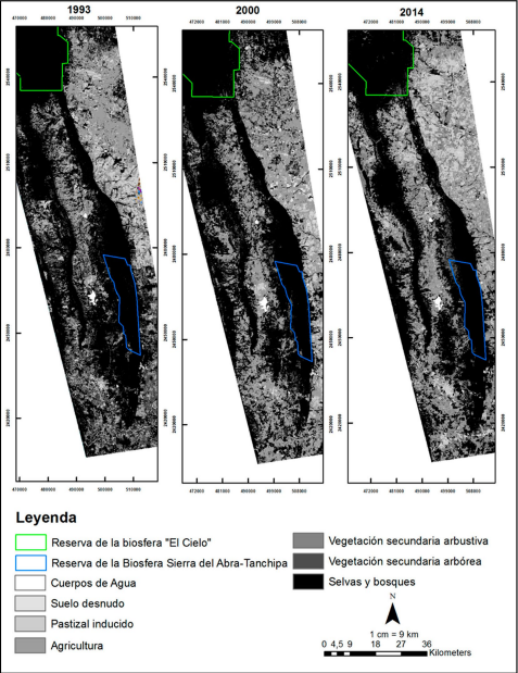 Uso del suelo y vegetaci�n para tres fechas distintas
