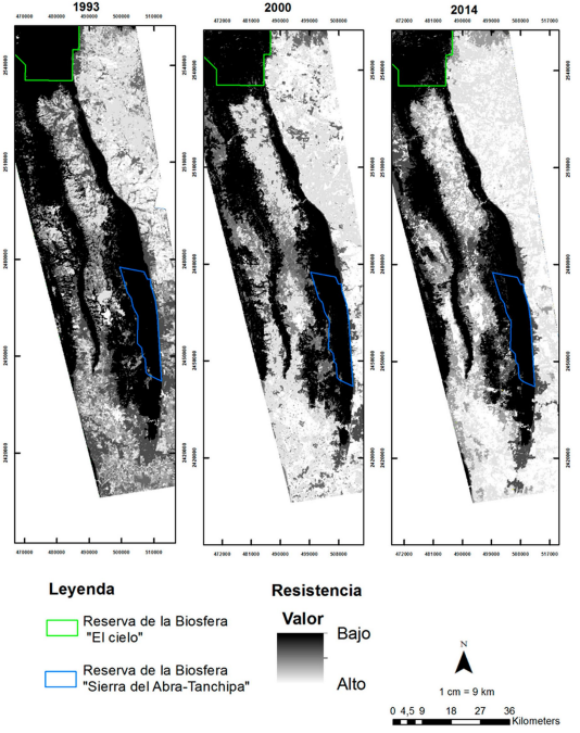 Niveles de conectividad para tres fechas distintas
